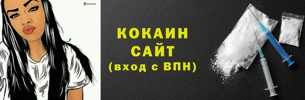 прущие грибы Абаза