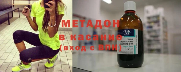 прущие грибы Абаза