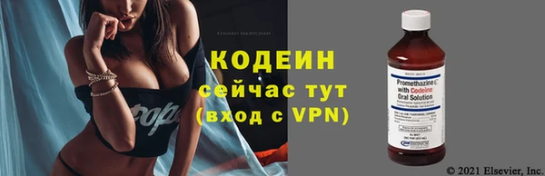 прущие грибы Абаза