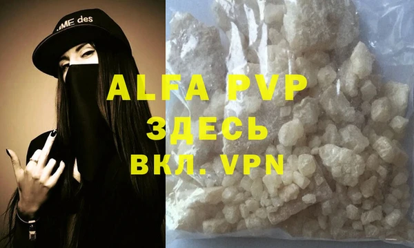 прущие грибы Абаза