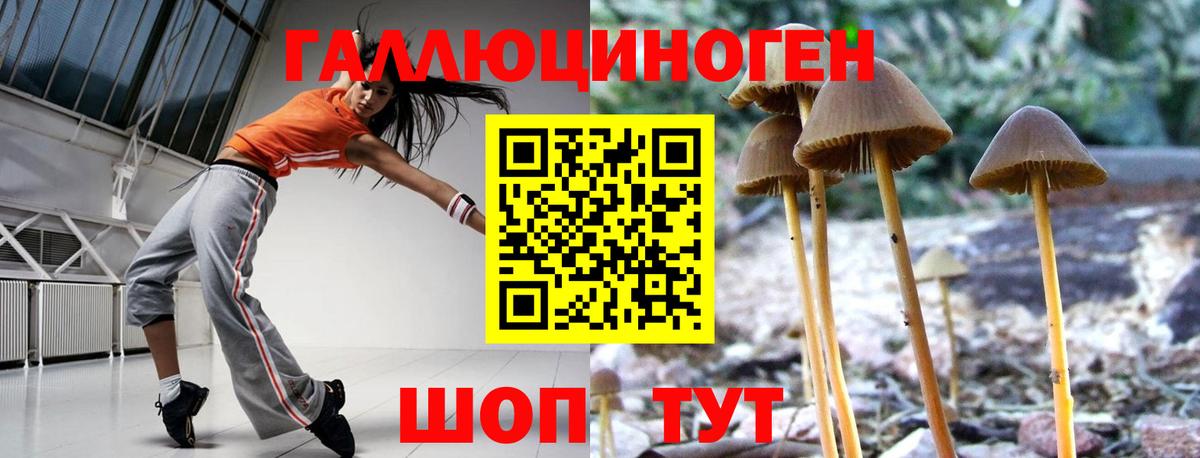 Псилоцибиновые грибы Psilocybine cubensis Скопин