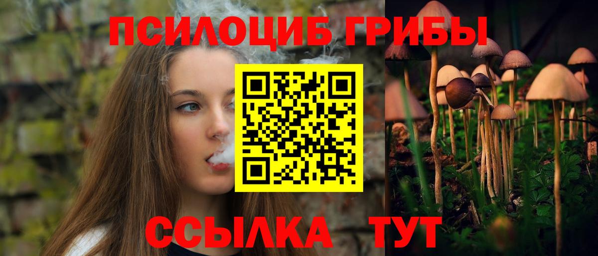 Скопин  Галлюциногенные грибы мицелий  что такое   Вход с VPN 